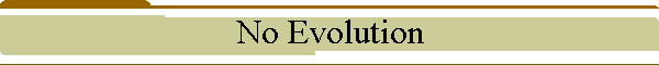 No Evolution